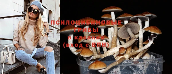 гашиш Бородино