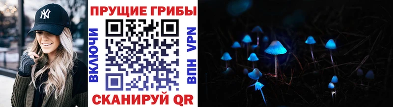Галлюциногенные грибы Cubensis  Кириллов 